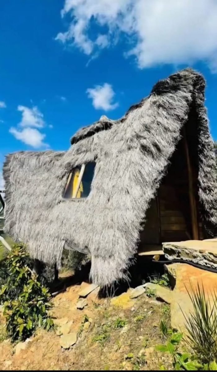 WhatsApp Image 2025-08-08 at 09.52.07