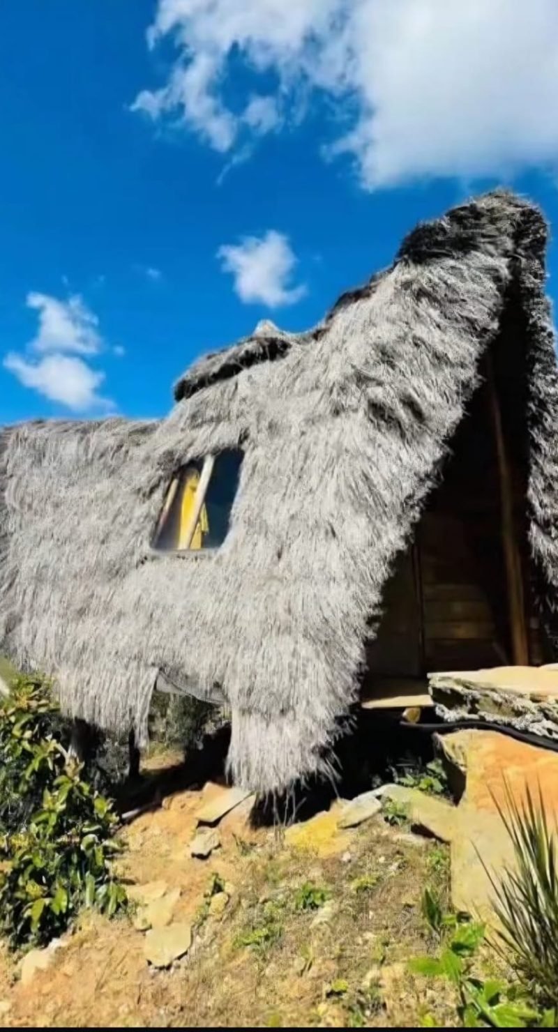 WhatsApp Image 2025-08-08 at 09.52.07