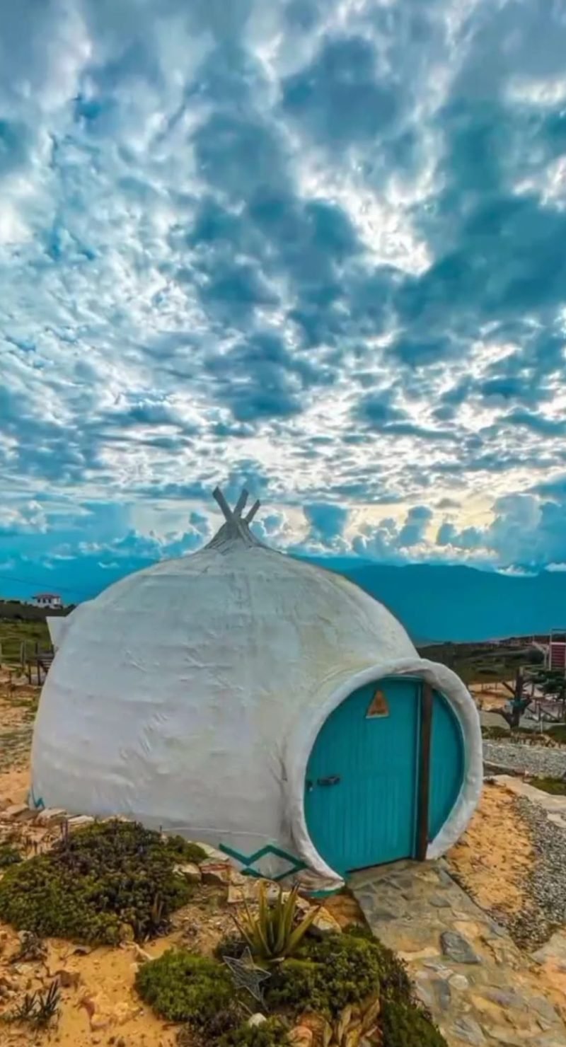 WhatsApp Image 2025-08-08 at 10.52.00