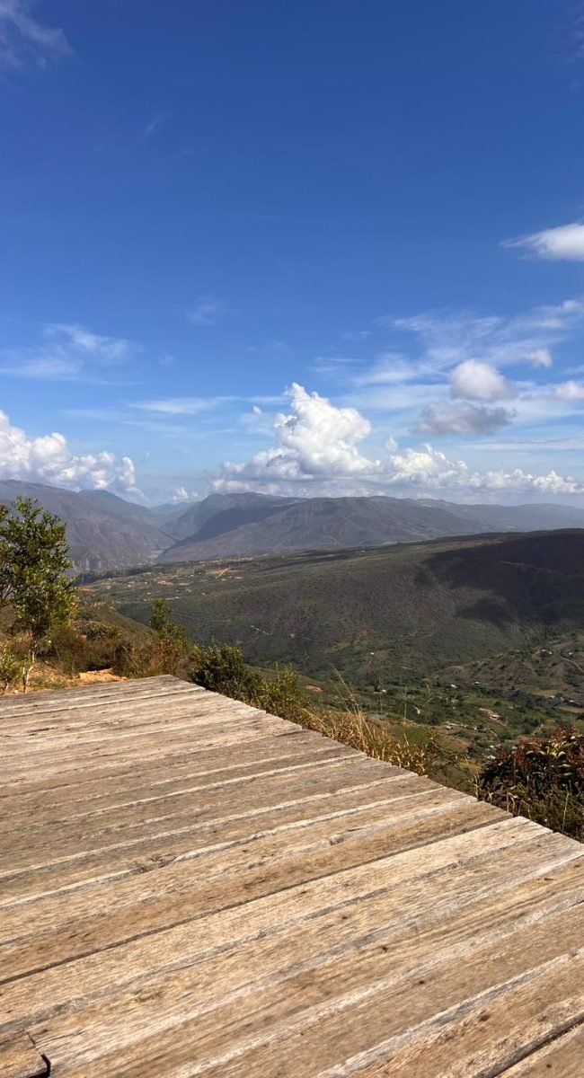 WhatsApp Image 2025-08-08 at 11.05.05 (2)